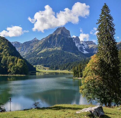 0291c2bceb64ba67c2a31736ef59ae987a8e35ee