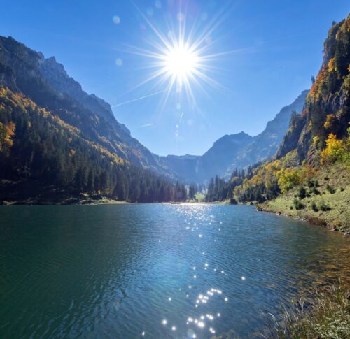 Talalpsee web