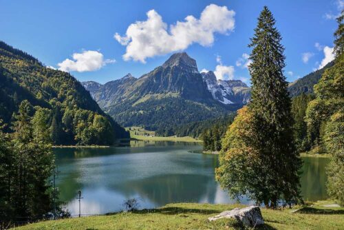 0291c2bceb64ba67c2a31736ef59ae987a8e35ee