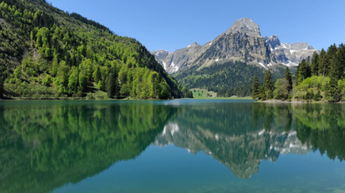 0a29c4f7e56ec5cec3ccf9c885a1cf3a7a4115a1